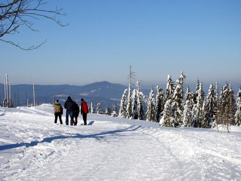 Gruppe beim Winterwandern im Bayerischen Wald auf verschneiter Höhe mit Blick in die Ferne.